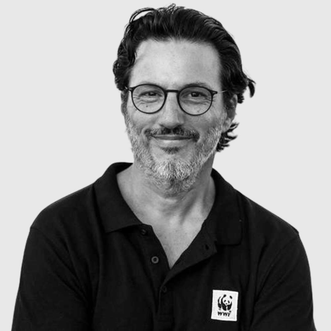 Δημήτρης Καραβέλλας